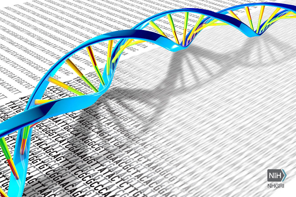 Cerita di balik penemuan struktur heliks ganda DNA Cerita di balik penemuan struktur heliks ganda DNA