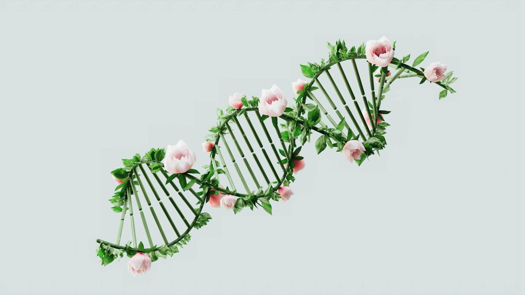 Apa itu Bioinformatika? Apa itu Bioinformatika?